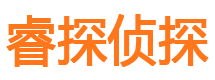 贡井侦探